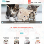 Voorbeeld website met kittens
