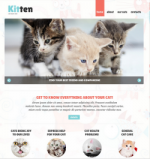 WordPress Thema’s en Plugins, gratis of commercieel?