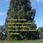 De beste wensen voor 2023